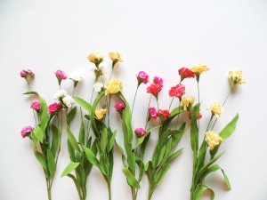 Mini-Carnation Bundle ~ $1.99ea