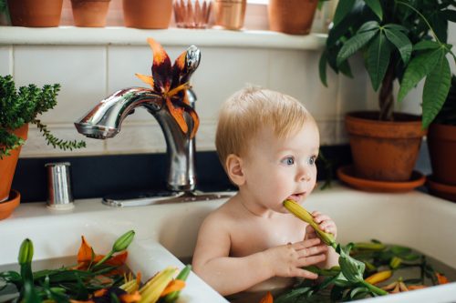 Baby's Sink Bath